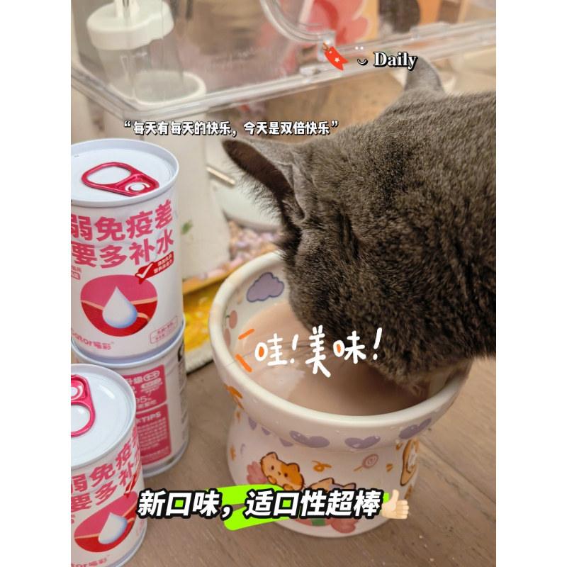 喵彩补水鸡汤猫罐头零食罐