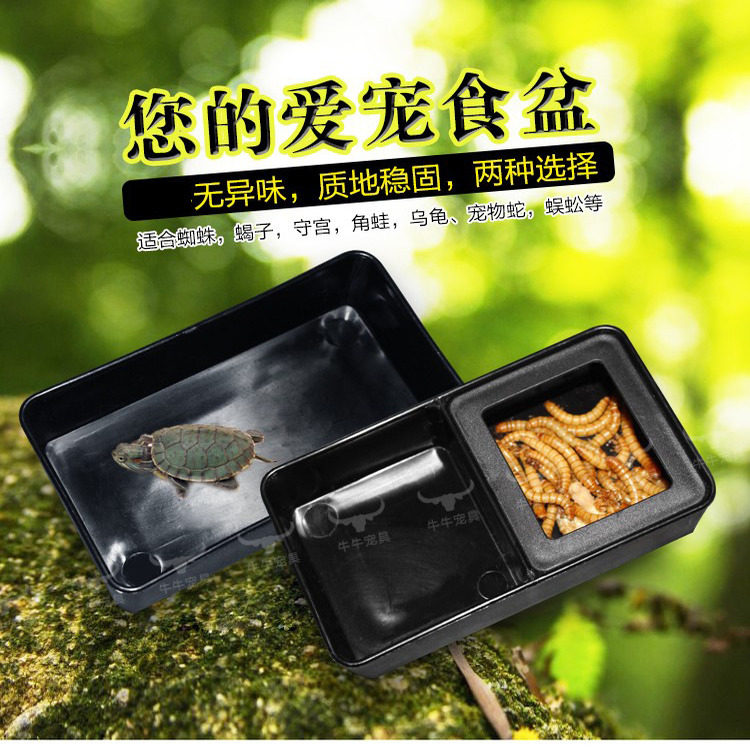 爬虫食器美食槽长方形水盘长方形乌龟守宫蜘蛛角蛙蛇类喂食器食盆