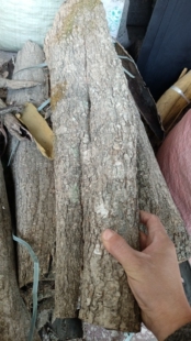 杜仲 陕西野生杜仲皮略阳杜仲秦岭老树杜仲皮 可泡茶泡酒包邮500g
