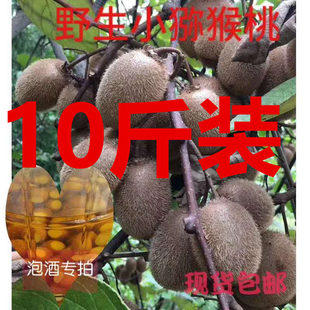 （泡酒专用）秦岭野生猕猴桃奇异果连箱子10斤装泡酒小猕猴桃