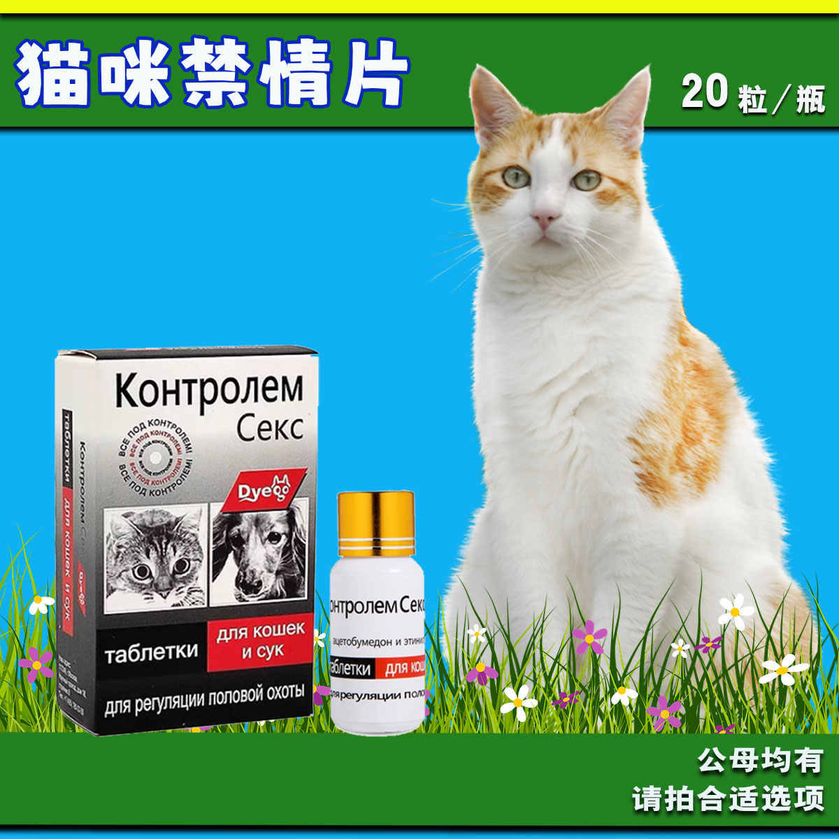 猫咪抑情禁情缓解情绪