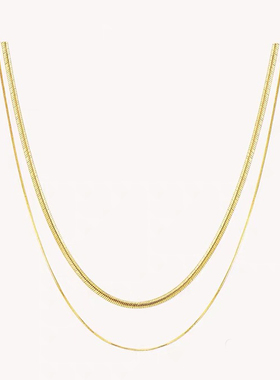 2025新款双层蛇骨链项链女