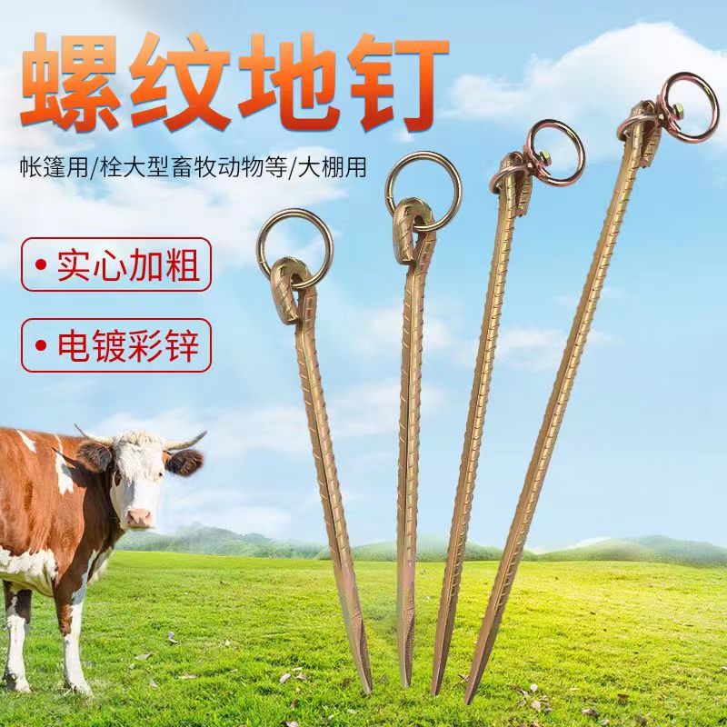 加粗螺纹钢户外帐篷地栓地钉地桩钉固定大棚地锚钉地钉拴牛羊马钉