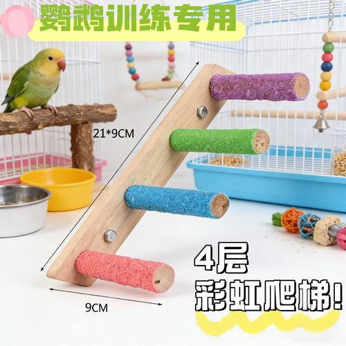 彩虹磨砂鹦鹉爬梯解闷益智玩具