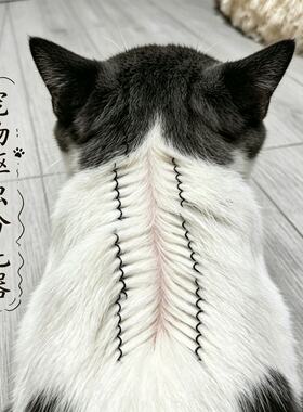 猫狗通用驱虫发夹防乱舔固定毛发