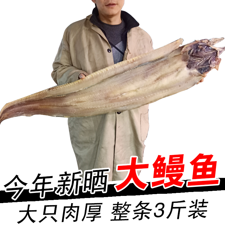 宁波产大鳗鱼干1500g/一整条 风海鳗干鳗鲡鳗鱼鲞咸鱼干 海鲜干货