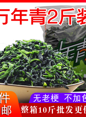 精品宁波特产万年青500g*2包 青菜干 嫩菜芯 脱水蔬菜干 油菜干菜