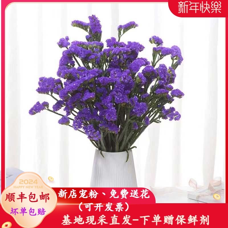 勿忘我满天星鲜花全色系可做干花永生花云南昆明斗南花市基地直发