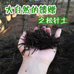 松针土君子兰有机腐熟松针多肉植物绿萝无土松针包邮