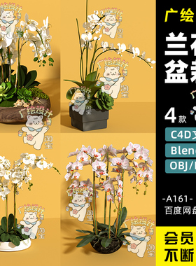 C4D花草植物盆景盆栽Blender蝴蝶兰花FBX模型素材OBJ素材