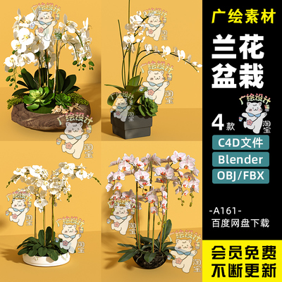 C4D花草植物盆景盆栽Blender蝴蝶兰花FBX模型素材OBJ素材
