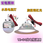 调光水果灯摆摊电瓶专用 84伏流动摊位照明灯渐变调红色夜市灯