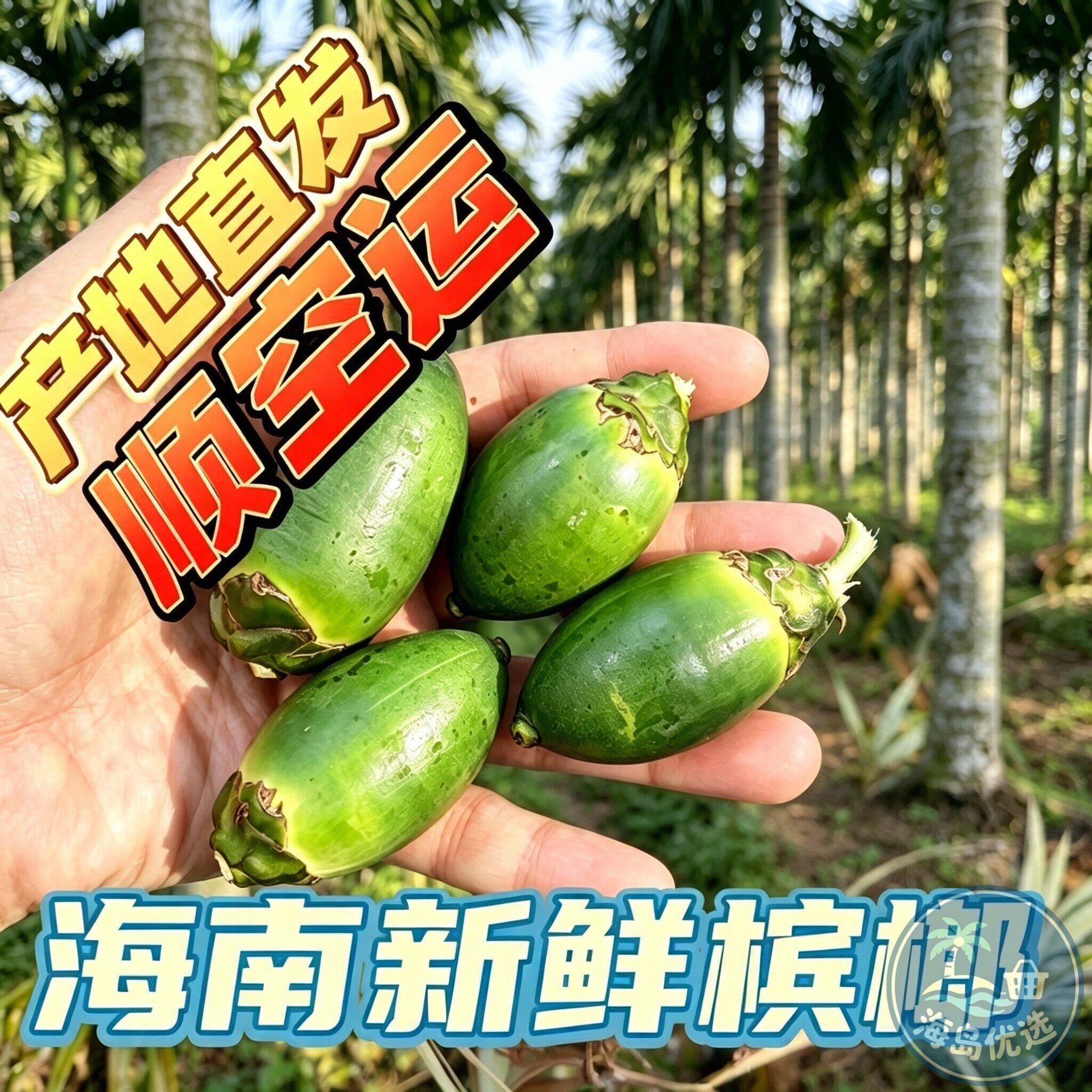 空运/海南新鲜生槟榔青产地直销现摘正宗海南特产枸杞槟榔原料