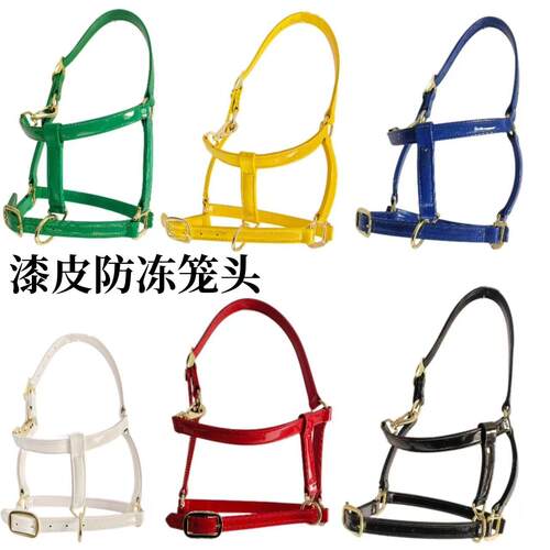小马矮马马笼头马龙头