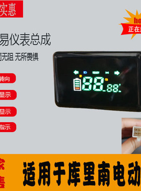 新款LED电量表仪表电动车码表库里南显示屏二三轮车48v60v72v通用