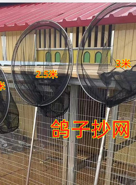 抄网鸽子用品用具鸽子抄网