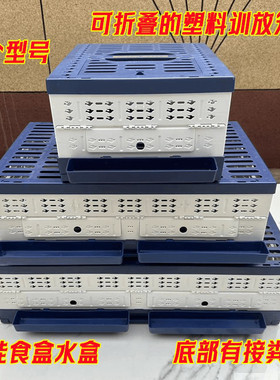 启航训放笼可折叠塑料放飞笼训放笼可挂食盒水盒鸽笼防老化鸽子笼