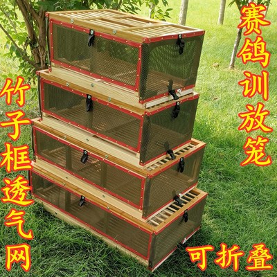训放笼塑料笼直销包邮信鸽笼