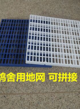 养殖地网拼接鸽子格板