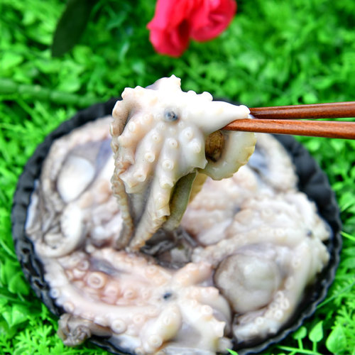 新鲜活冻小章鱼500g 小八爪鱼鱿鱼足章鱼须 火锅食材 - 封面