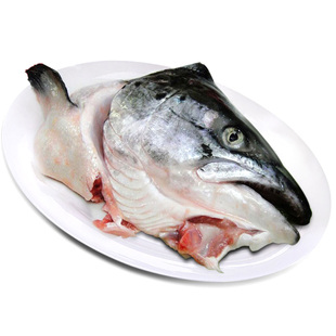 批发新鲜冷冻进口三文鱼边角料下脚料 大西洋鲑鱼 碎肉尾巴鱼排骨