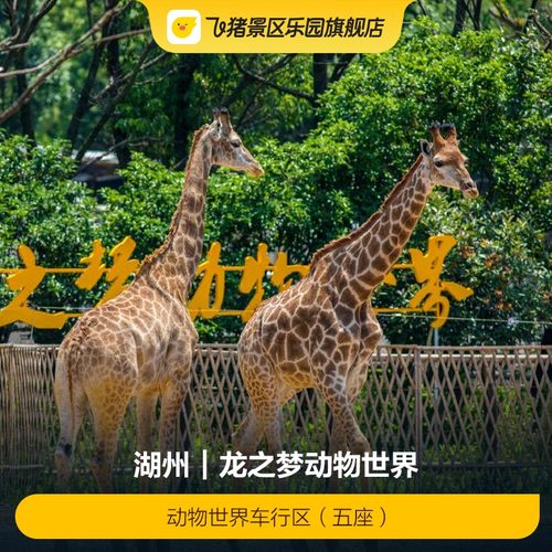 动物世界车行区（五座）