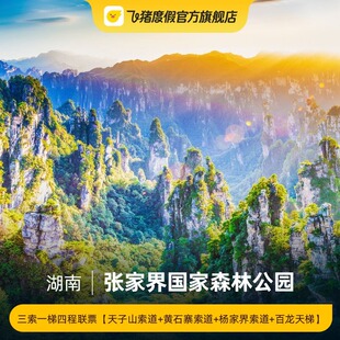 [张家界国家森林公园-三索一梯四程联票【天子山索道+黄石寨索道+杨家界索道+百龙天梯】]