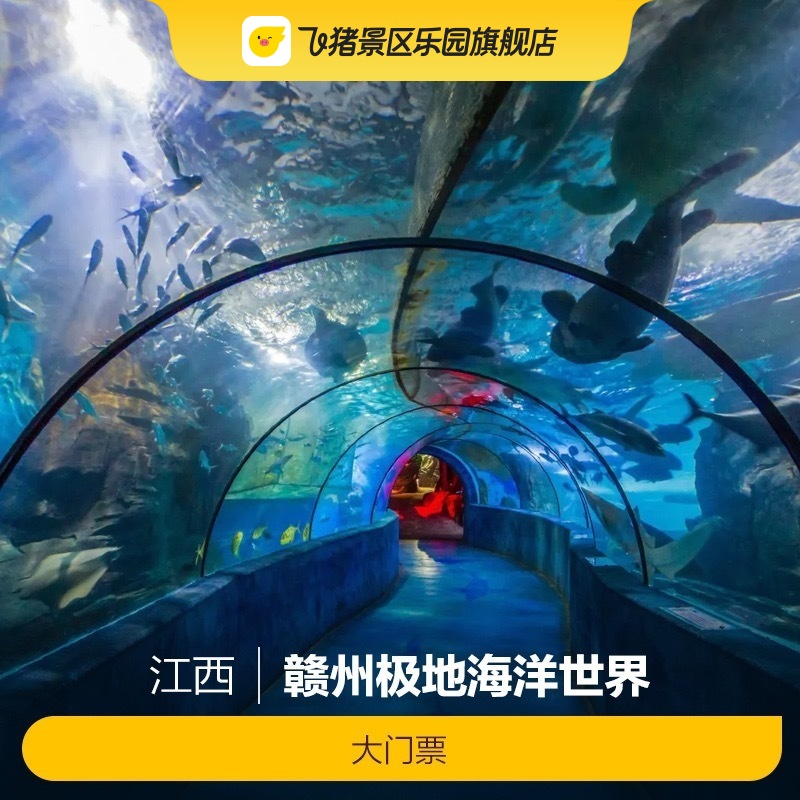 [赣州极地海洋世界-大门票]