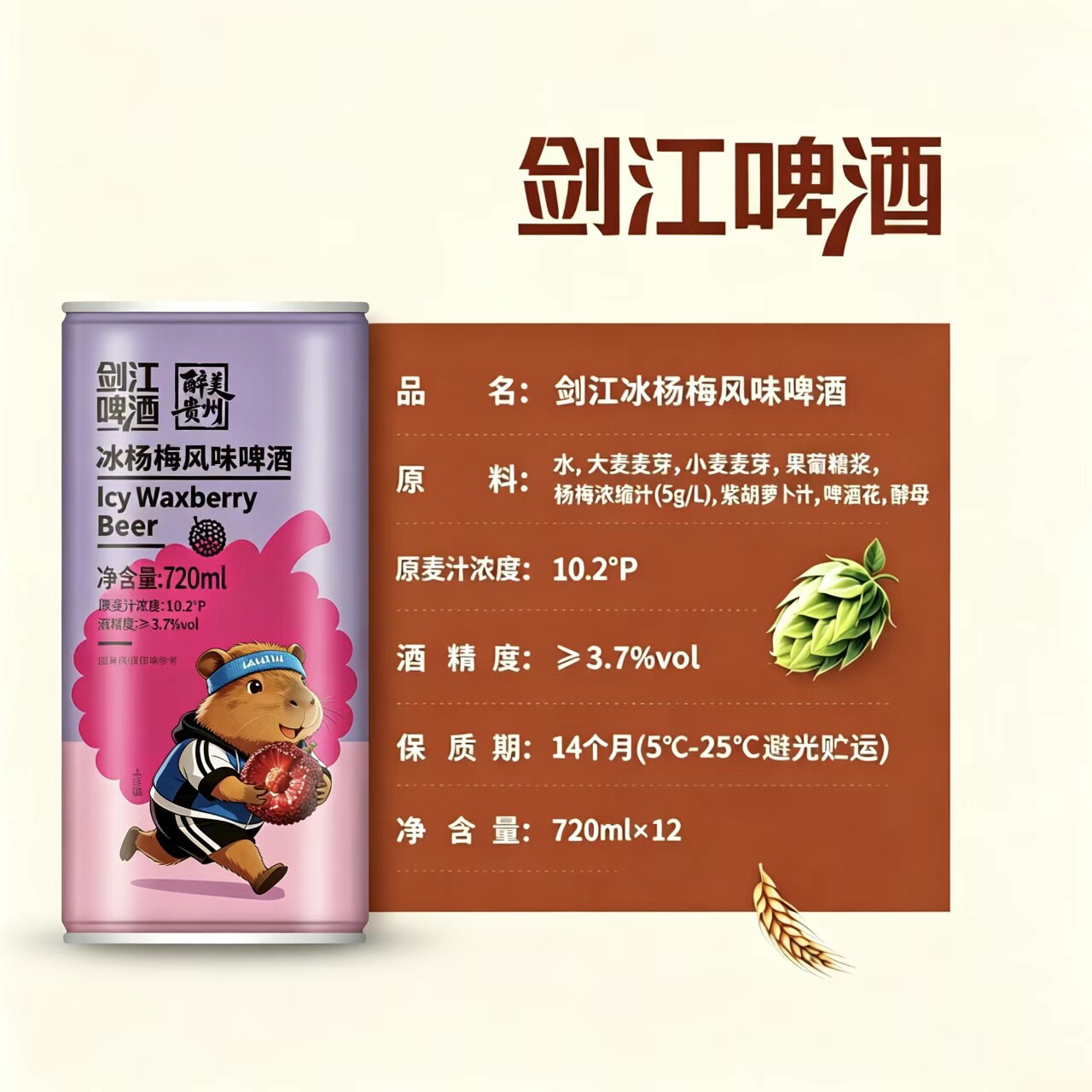 醉美贵州都匀剑江冰杨梅风味啤酒720ml包邮拍两件送大肚杯