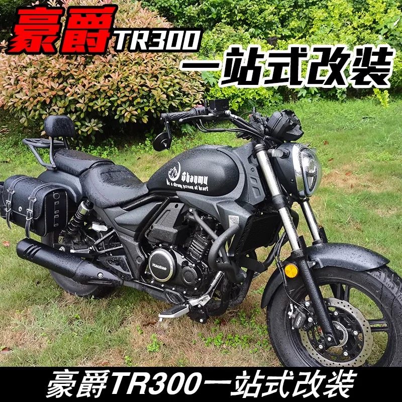 适用于豪爵TR300改装摩托车防摔保险杠折叠靠背货架尾架皮边包