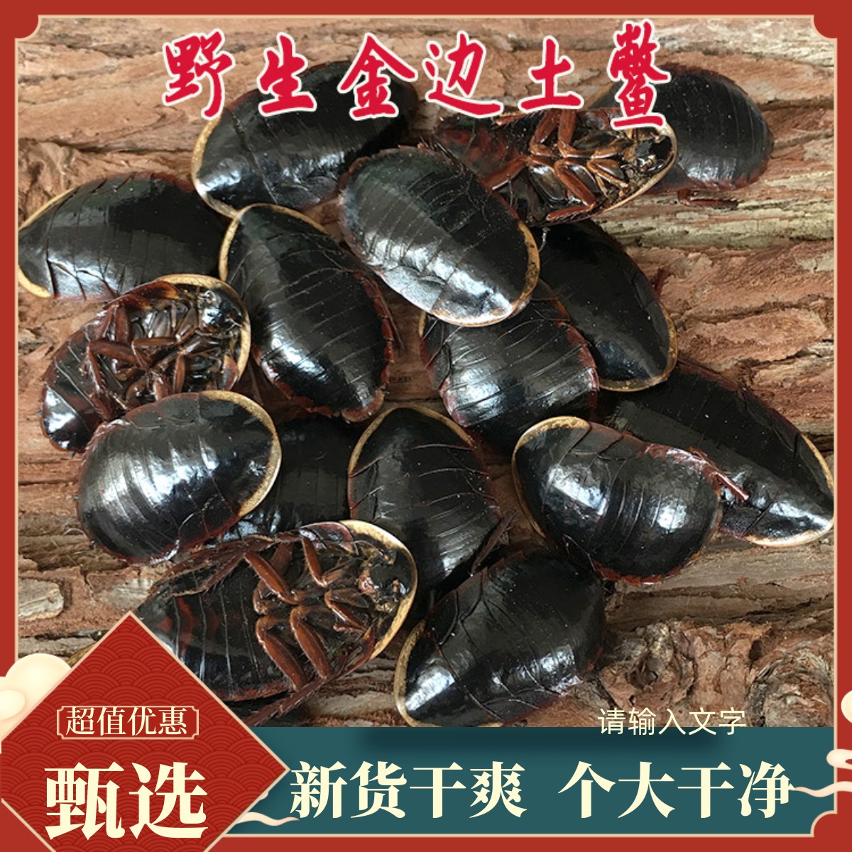 土鳖虫中药材新货完整干净无杂