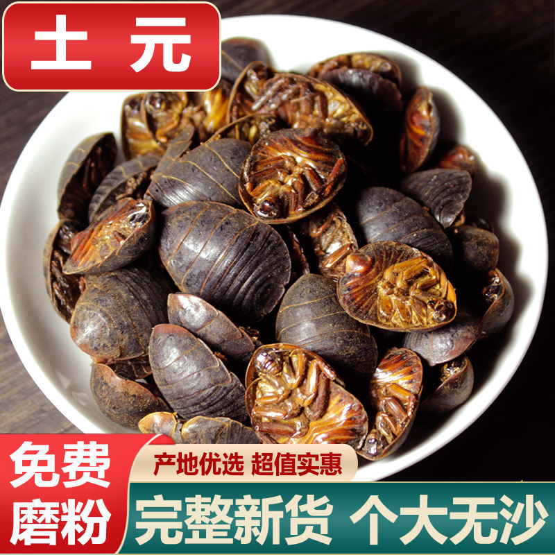 中药材土元500克地乌龟节节虫臭虫蛰虫土鳖虫 清水土元干磨土元粉