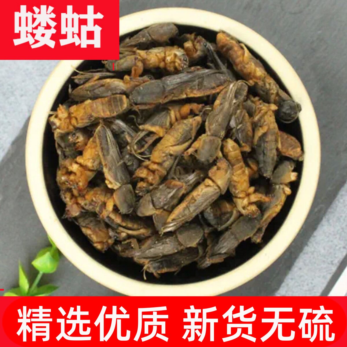 蝼蛄土狗地狗无硫野生蝼蝈拉蛄蝗虫蛐蛐中药材蝼蛄干货500克