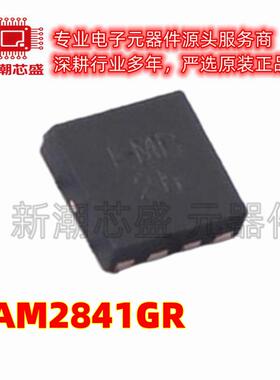 PAM2841GR PAM284 LED驱动 封装UDFN-8-EP(2x2) 全新原装美台