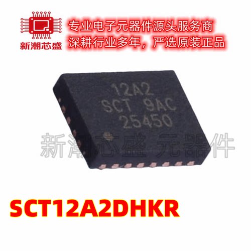 SCT12A2DHKR 电源IC DC-DC电源芯片 DFN-20 全新原装 (芯洲科技