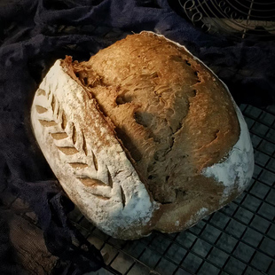黑裸麦酸包酸种酵母健康主食欧包德式黑麦乡村手工面包sourdough