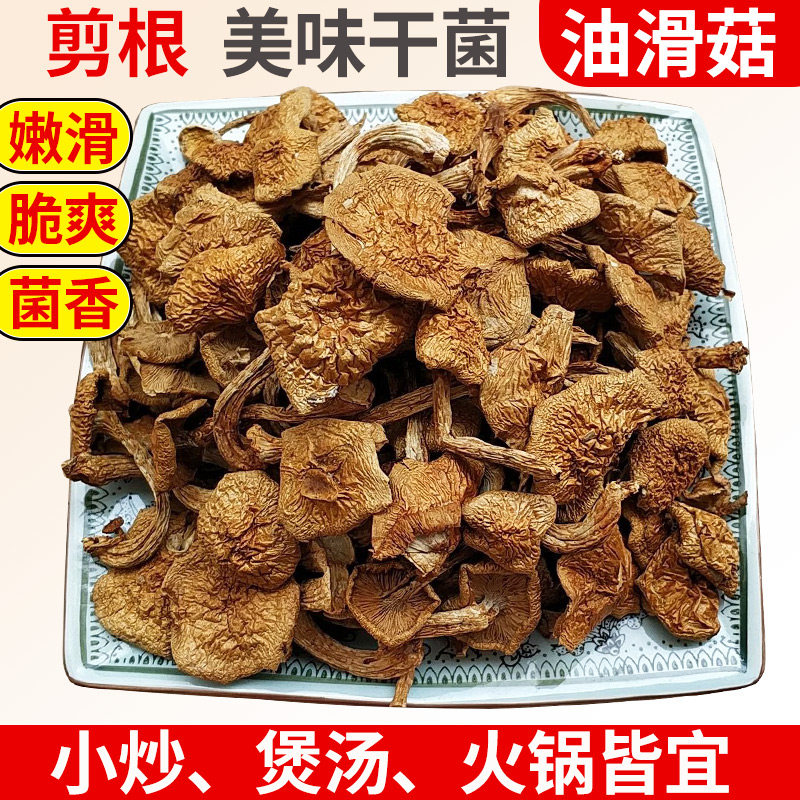 滑子菇干货云南土特产炖鸡煲汤小黄蘑菇干菌菇类滑菇杂菌干菌子