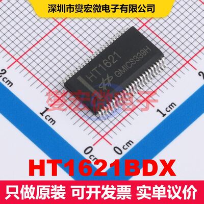 HT1621BDX SSOP-48 显示驱动器 电源管理 集成芯片IC