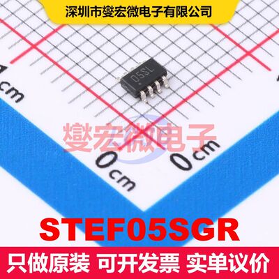STEF05SGR DFN-10(3x3) 电流调节/管理 电源管理 集成芯片IC