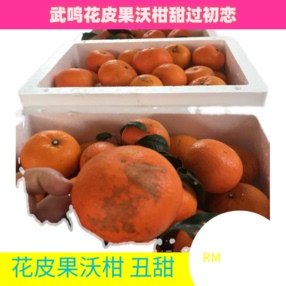 广西水果红美人大花皮沃桔子武鸣沃皇帝新鲜沃杷杷橘子见柑耙耙春