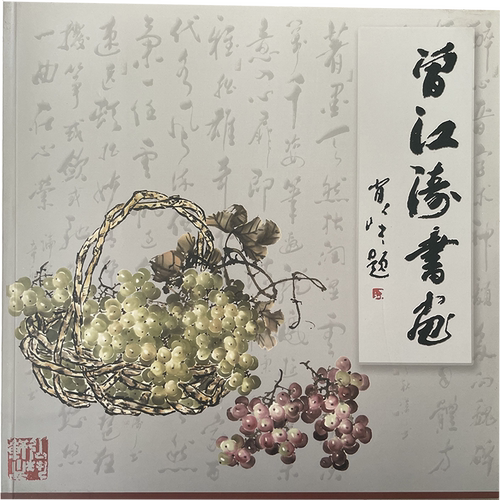 曾江涛国画专辑画册共计2册葡萄曾江涛书画学画宝典临摹宝典葡萄