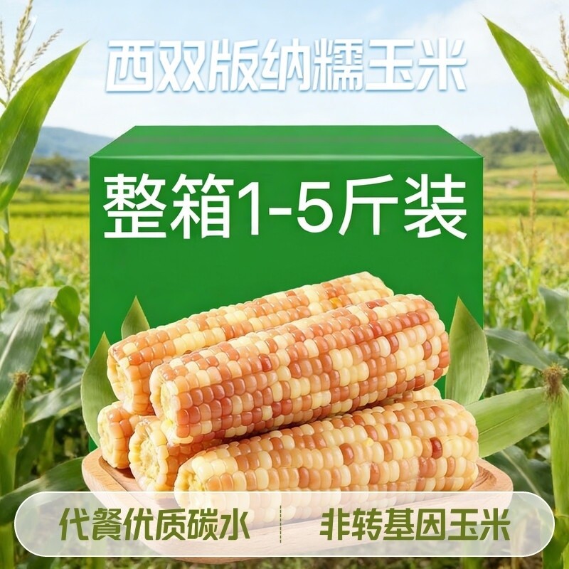 糯玉米5斤装云南西双版纳花糯玉米新鲜玉米棒真空装早餐代餐碳水