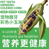 仓鼠零食小玉米磨牙棒营养粮食玩具兔子金丝熊仓鼠笼造景用品