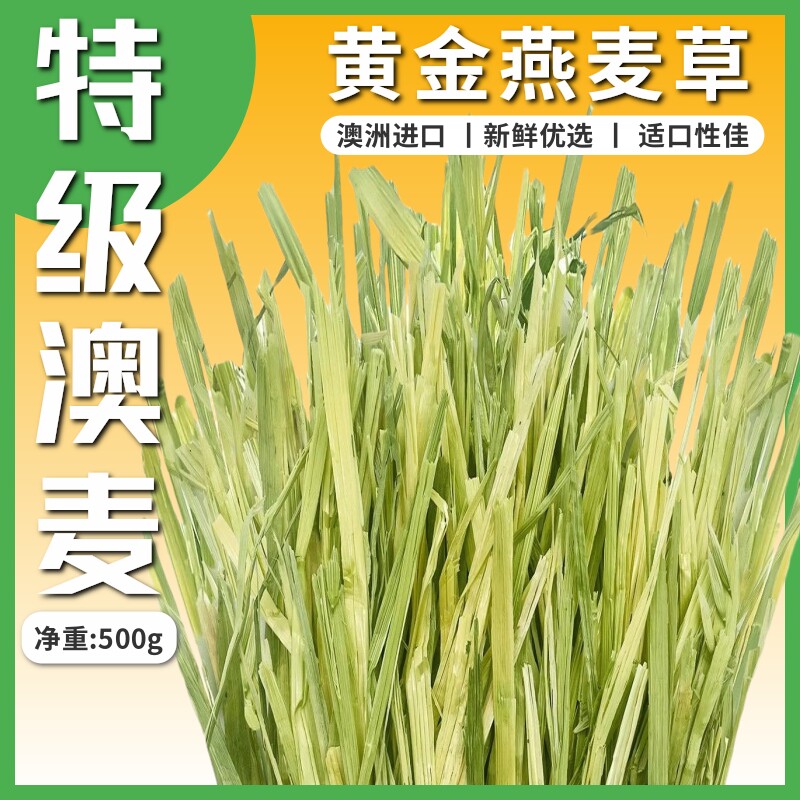 澳麦黄金燕麦草澳洲进口一番牧草精选手挑版兔子豚鼠龙猫500g干草