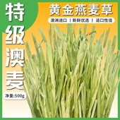 澳麦黄金燕麦草澳洲进口一番牧草精选手挑版 兔子豚鼠龙猫500g干草