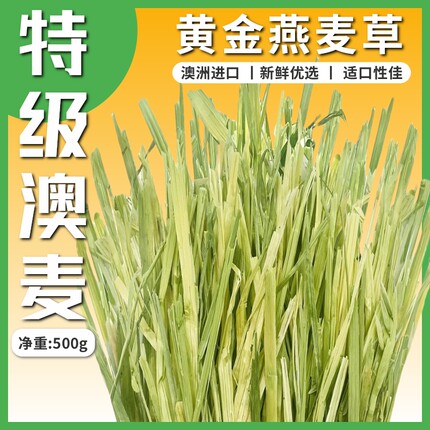 澳麦黄金燕麦草澳洲进口一番牧草精选手挑版兔子豚鼠龙猫500g干草