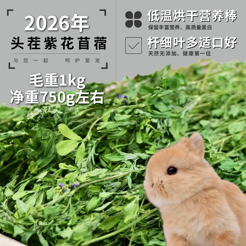 兔子26年头茬紫花苜蓿草饲料兔子