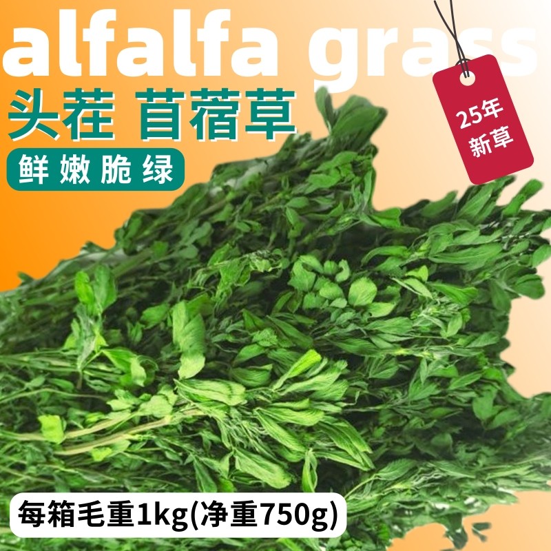 烘干紫花苜蓿草兔子粮食兔兔龙猫荷兰猪饲料苜宿草牧草料干草用品