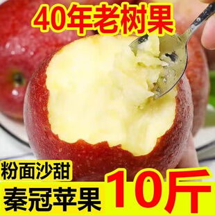 陕西高原红秦冠苹果老人宝宝辅食新鲜水果粉面沙甜老树苹果