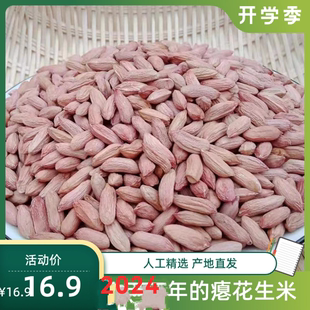 2024年新瘪花生米小粒生花生米养胃小秕子花生仁干瘪花生农家特产